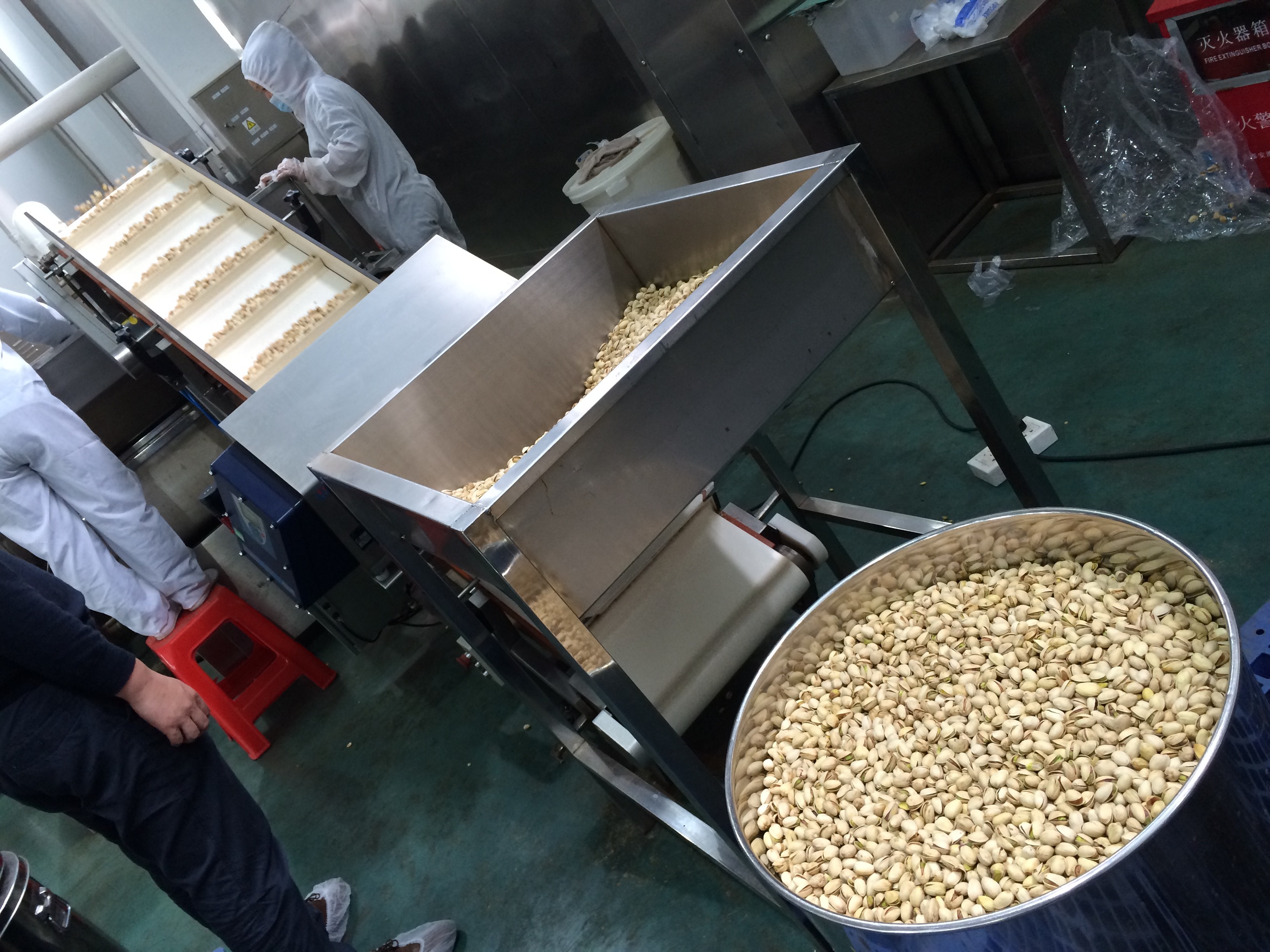 開心果殺菌.JPG 開心果殺菌.JPG